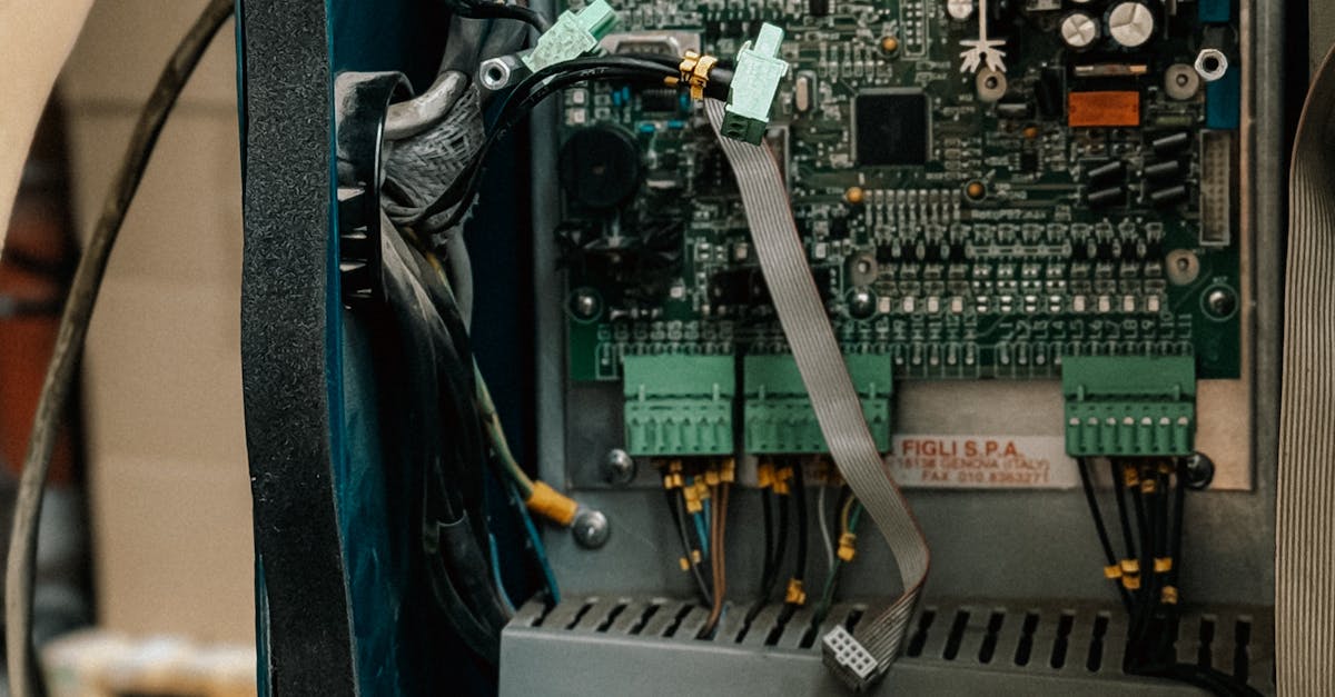 The Importance of Natural Light in Office Environments